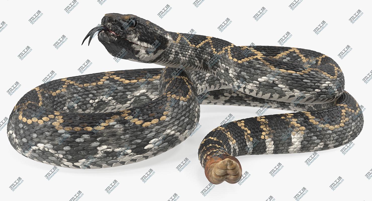 images/goods_img/20210319/Giant Dark Rattlesnake Rigged 3D model/2.jpg